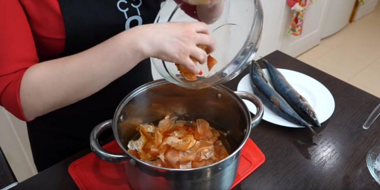 Lisää sipulin kuori