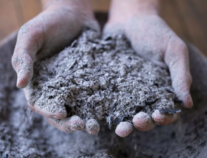 Ceniza de madera: como fertilizante y cura natural para enfermedades.