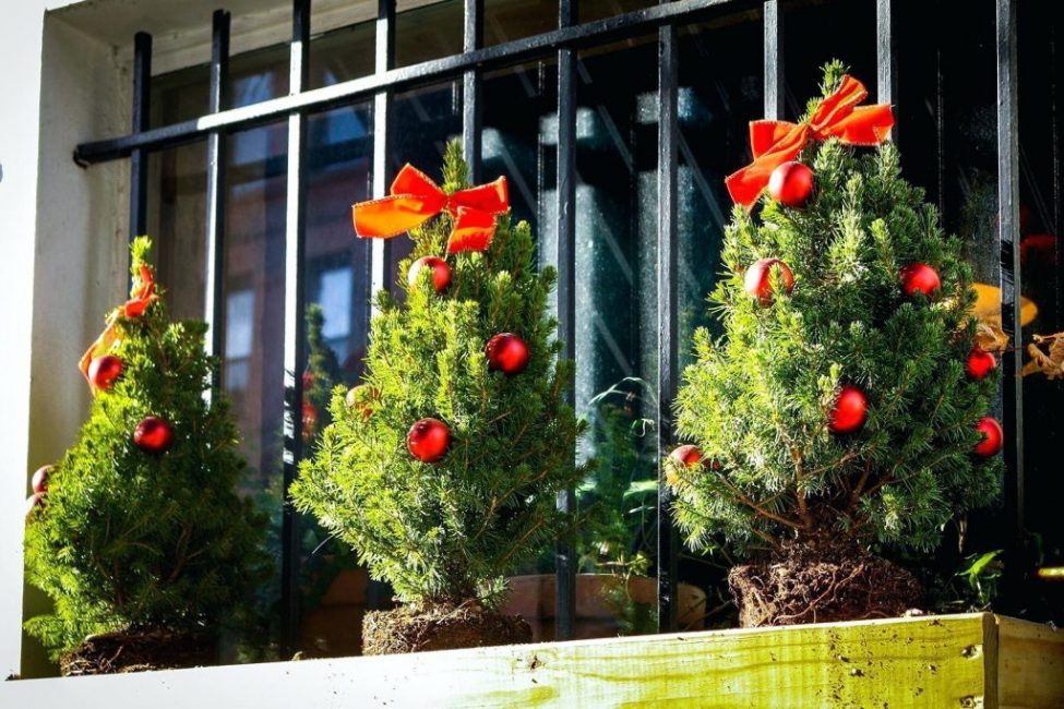 Birkaç özdeş mini Noel ağacını arka arkaya toplar ve fiyonklarla süsleyerek düzenleyin