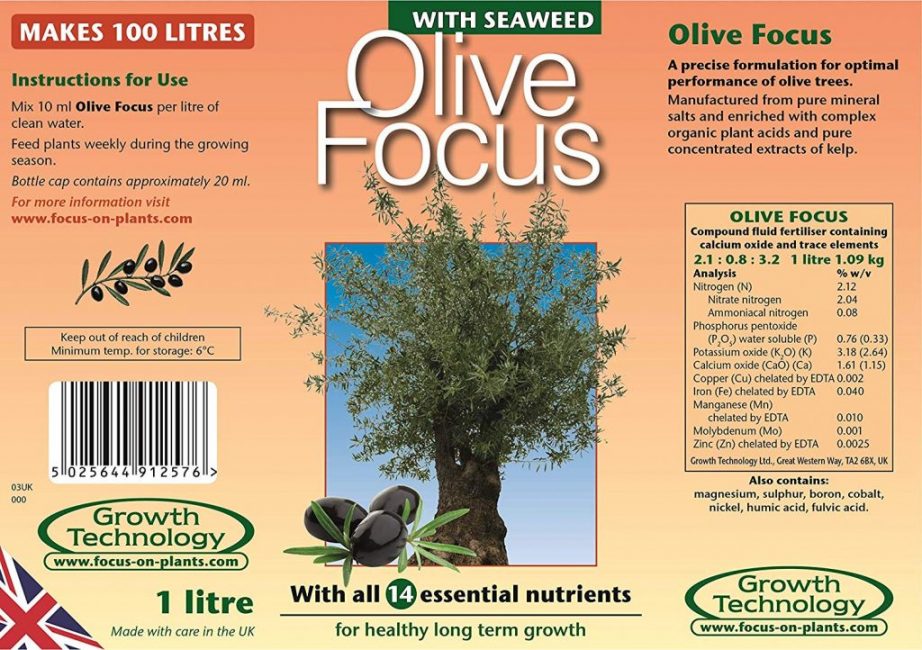 Olive Focus - täydellinen erikoislannoite oliiveille