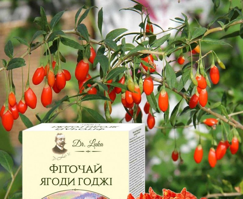 FITO TÉ BAYAS DE GOJI