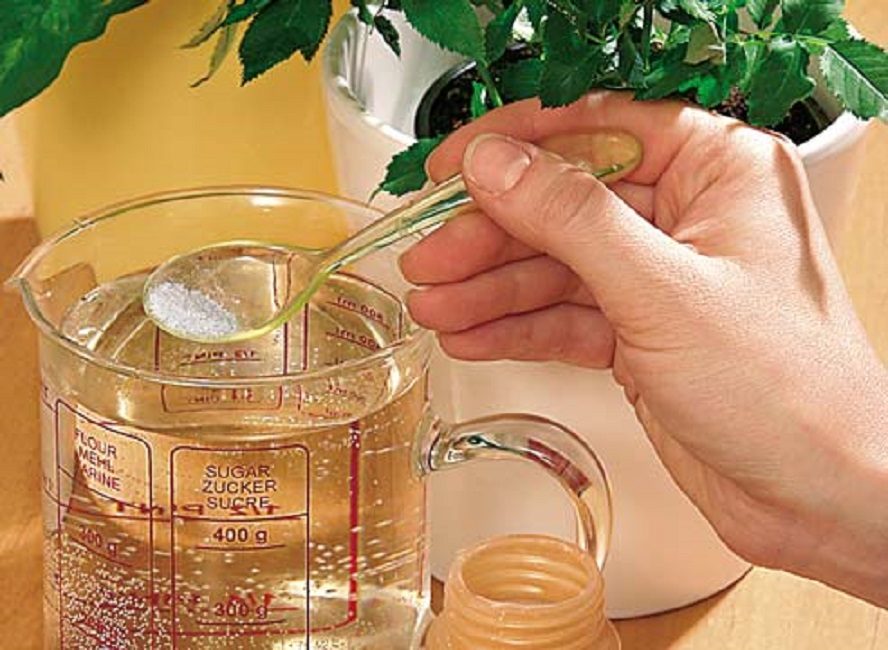 Fertilitzant de ficus