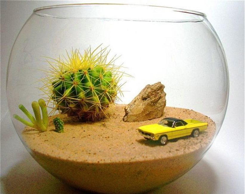 La idea del semidesierto florarium