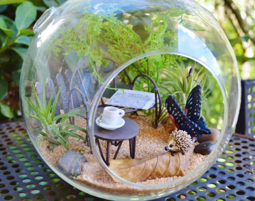 Opción de crear un terrario para niños