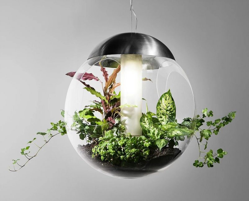 Una idea interesante para crear iluminación para un mini jardín.