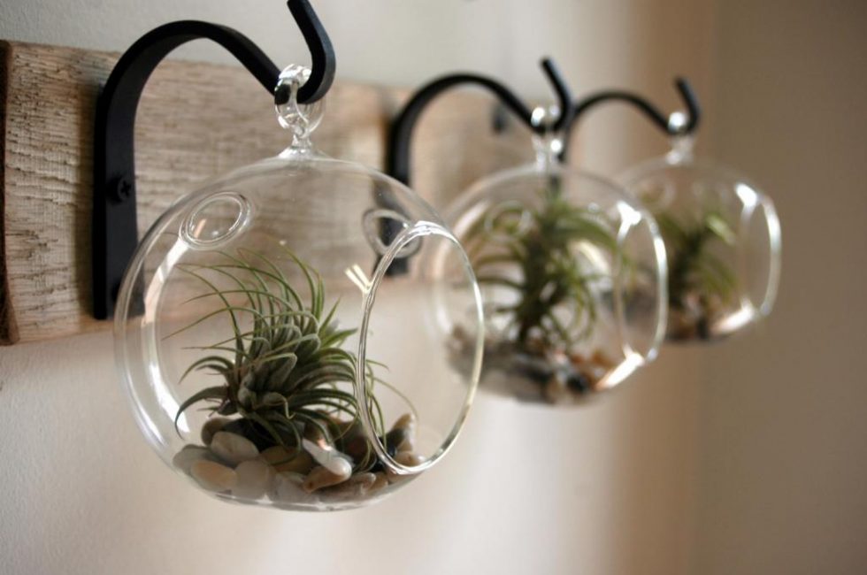 mini jardines colgantes