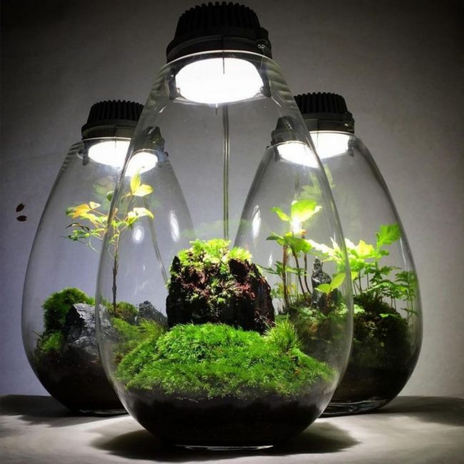 Mini jardín iluminado