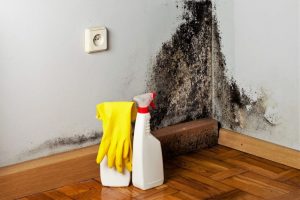 Cómo eliminar permanentemente el hongo de las paredes del baño y otras habitaciones del apartamento: causas, tipos de moho, métodos de control y prevención | + Reseñas