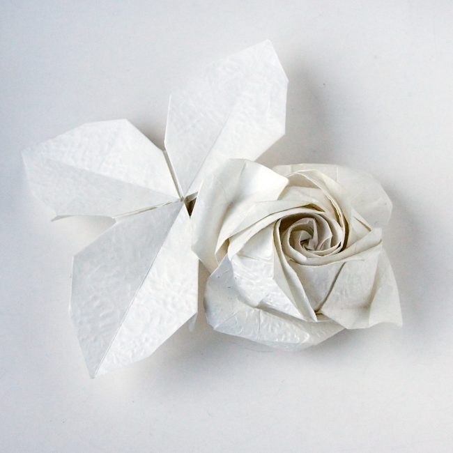 Rose Kawasaki