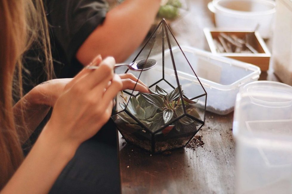 Creación de un florario.