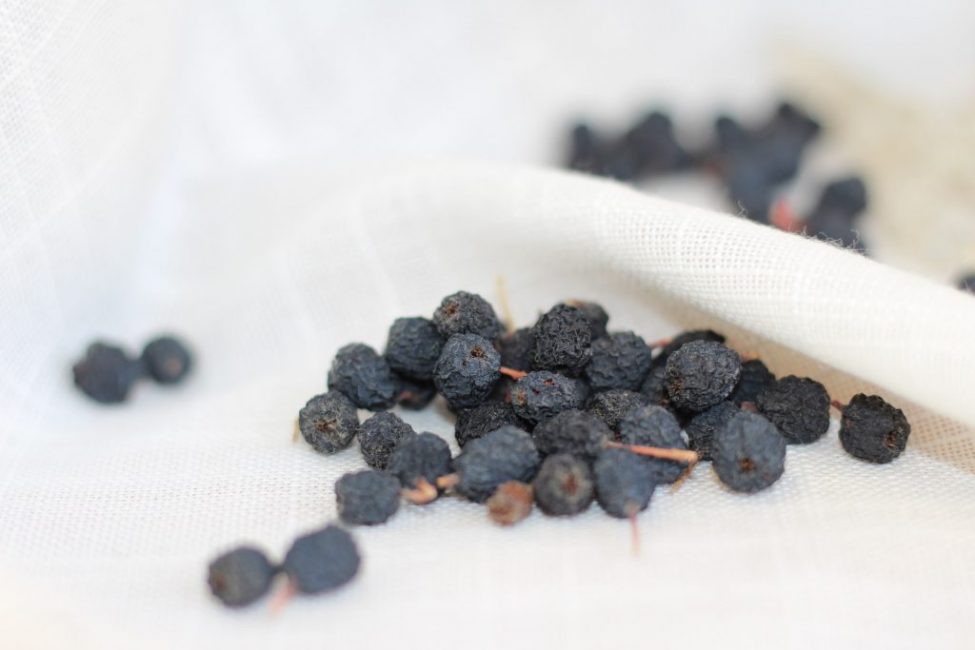 Chokeberry: léčivé vlastnosti a kontraindikace