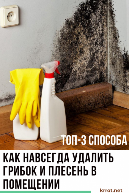 miten sieni poistetaan