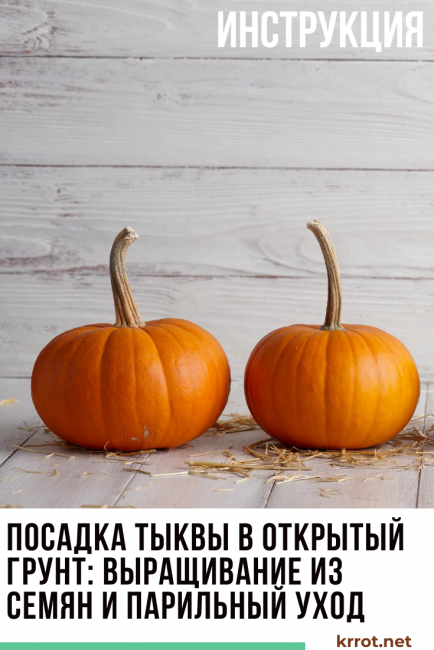 tökültetés