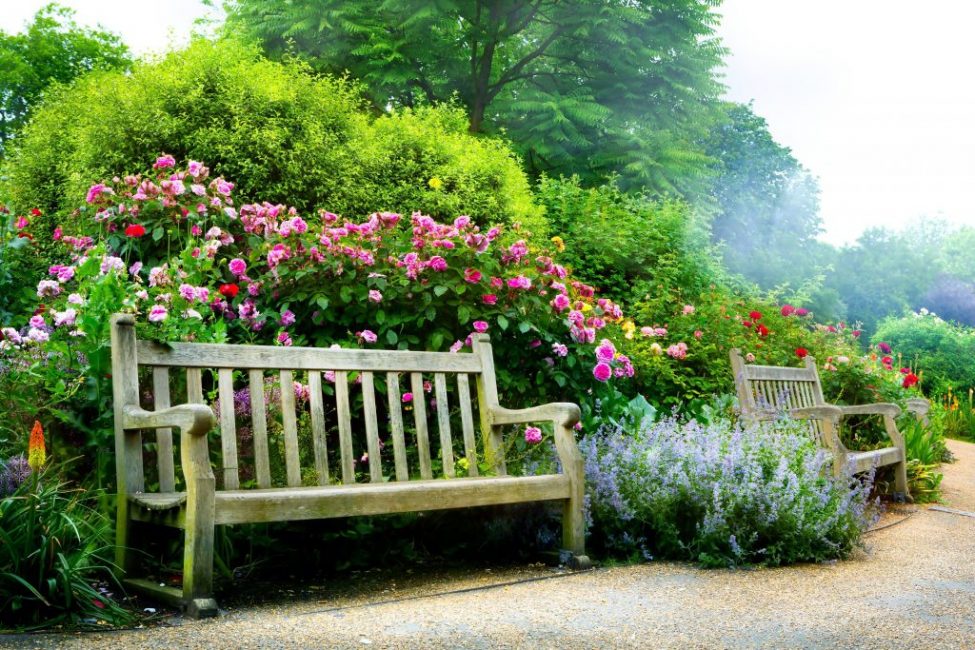 foto de roses del parc amb noms