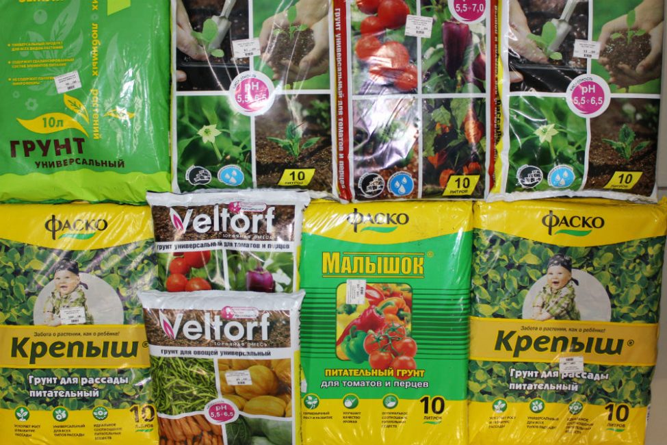A palánták teljes fejlődéséhez a megvásárolt opciókat módosítani kell