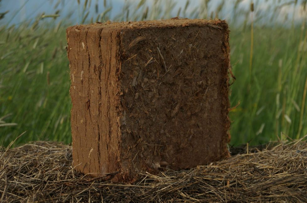 Kókusz szubsztrátum brikettben