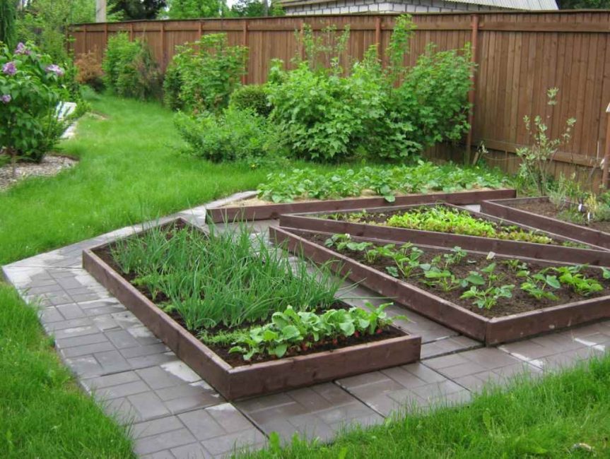 minihuerta
