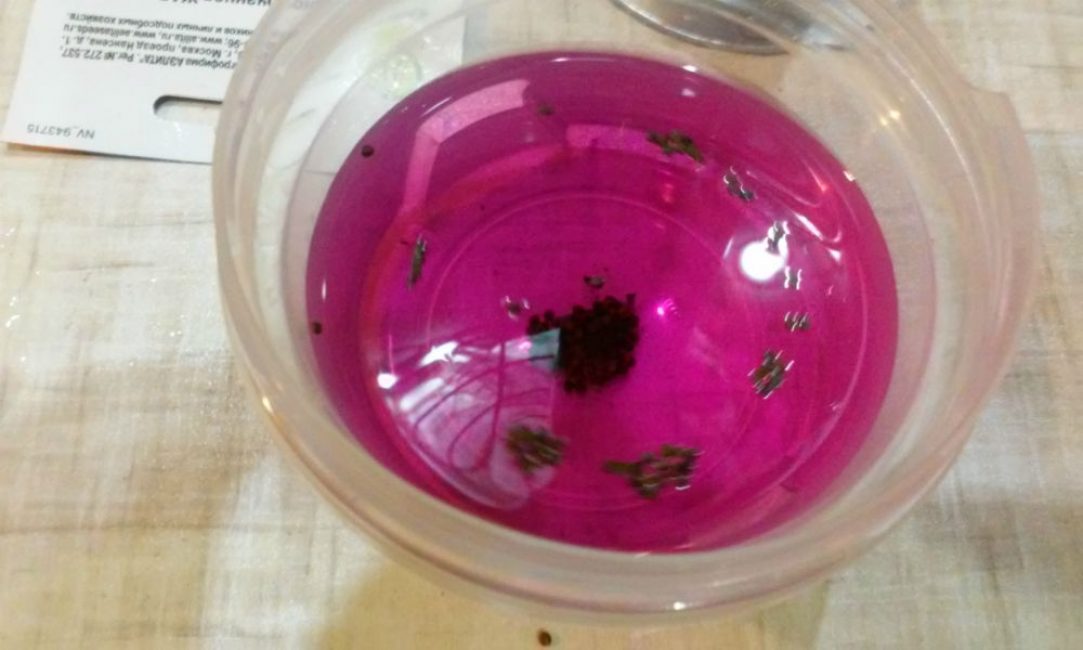 Desinfección con permanganato de potasio