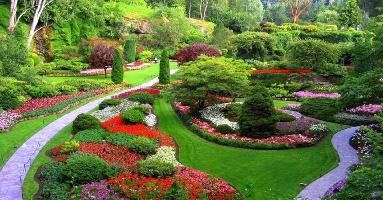 Magnífico jardín floreciente
