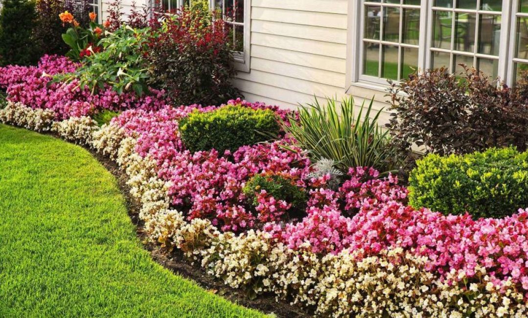 La casa alrededor del perímetro se puede decorar con macizos de flores.