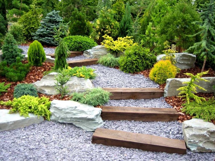 jardín de hoja perenne