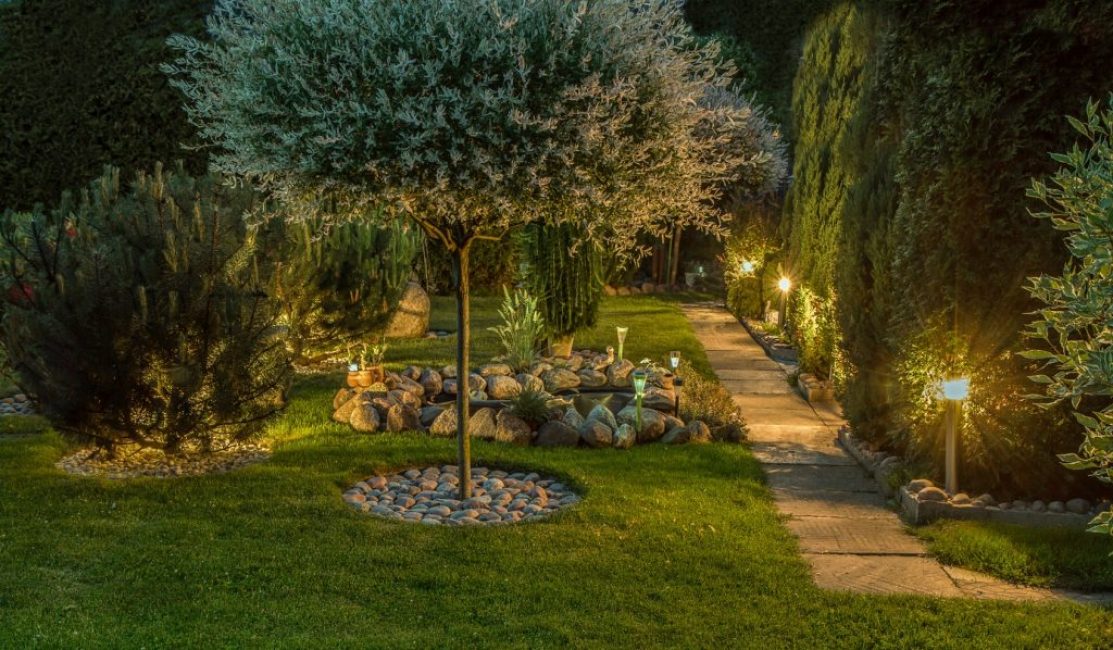 jardín por la tarde