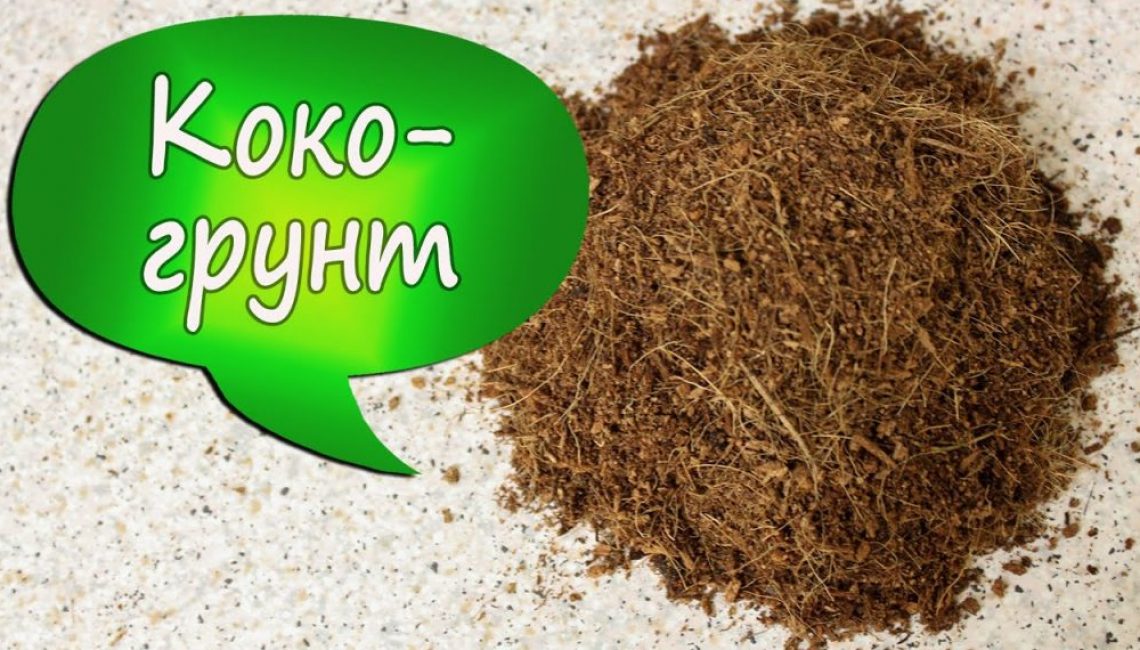 kókusz talaj