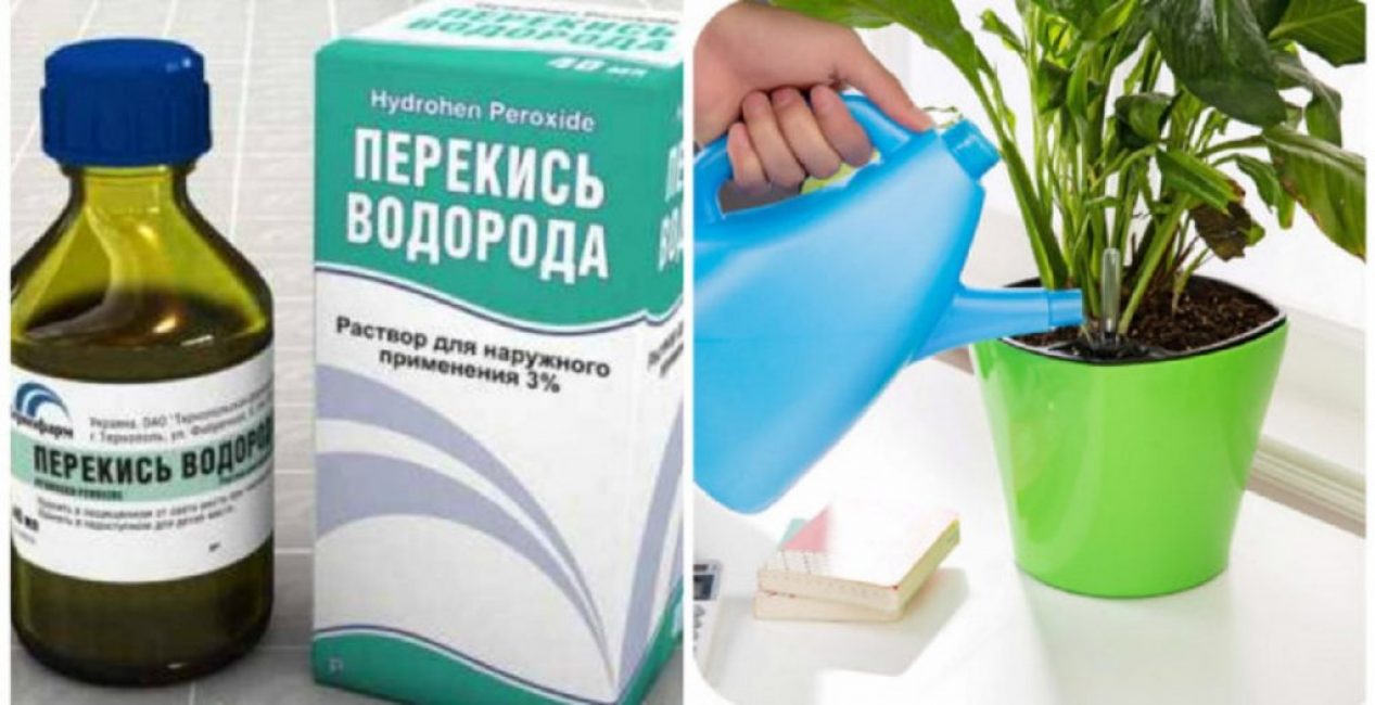 Peroxid vodíku z pakomárů