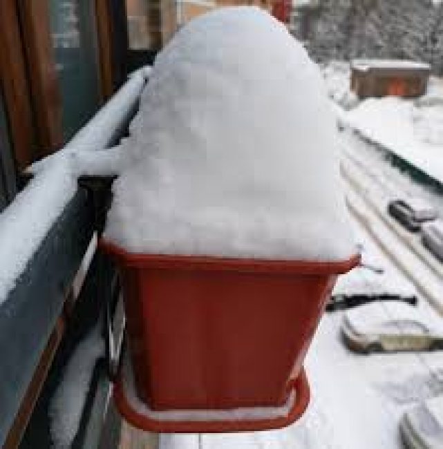 Talajfagyás