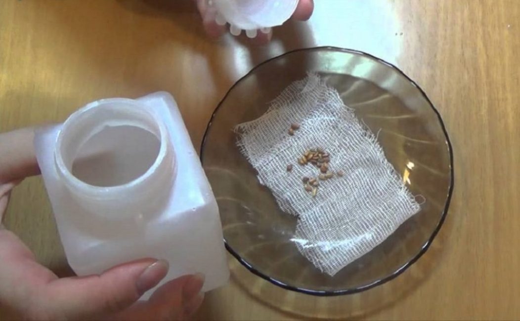 Stratifikace semen růží