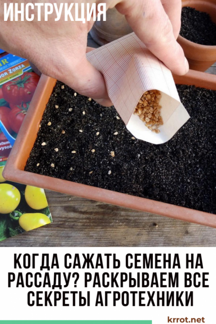 Cuándo plantar plántulas