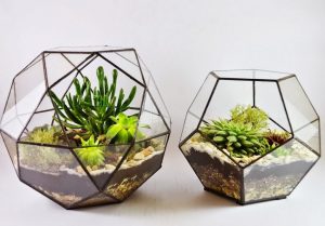 TOP 100 Ideas de creación (foto y video)