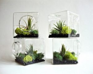 TOP 100 Ideas de creación (foto y video)