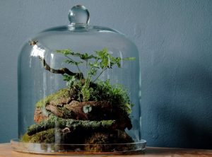 TOP 100 Ideas de creación (foto y video)