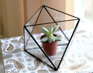 TOP 100 Ideas de creación (foto y video)