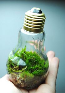 TOP 100 Ideas de creación (foto y video)