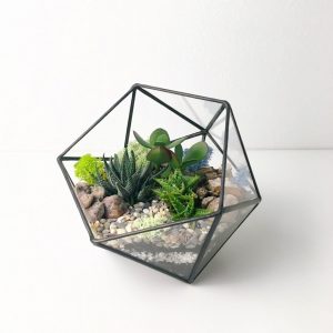 TOP 100 Ideas de creación (foto y video)