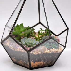 TOP 100 Ideas de creación (foto y video)