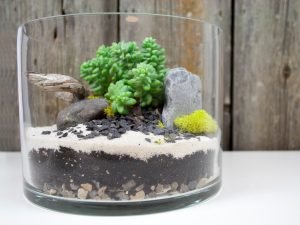 TOP 100 Ideas de creación (foto y video)