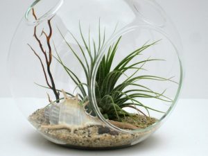 TOP 100 Ideas de creación (foto y video)