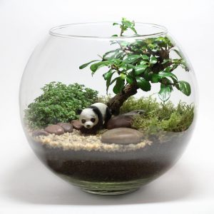 TOP 100 Ideas de creación (foto y video)