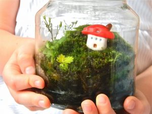TOP 100 Ideas de creación (foto y video)