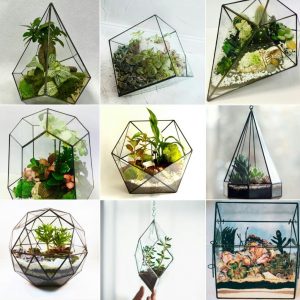 TOP 100 Ideas de creación (foto y video)