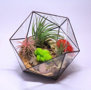 TOP 100 Ideas de creación (foto y video)