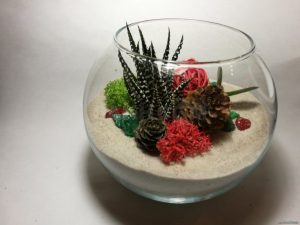 TOP 100 Ideas de creación (foto y video)