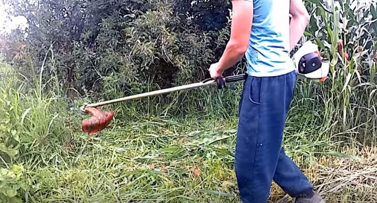 Provádíme testování