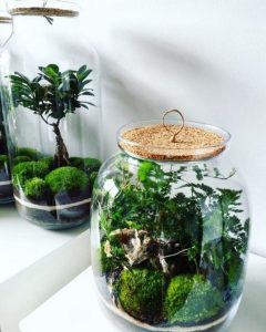 TOP 100 Ideas de creación (foto y video)