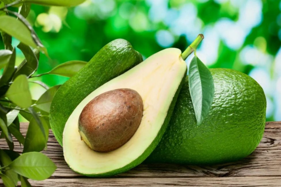 Avokado
