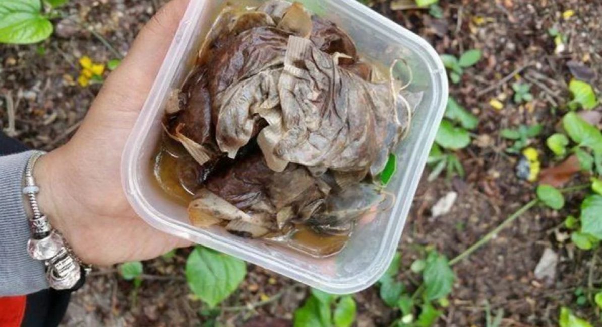 Käytettyjä teepusseja voi käyttää lisäravinteena.
