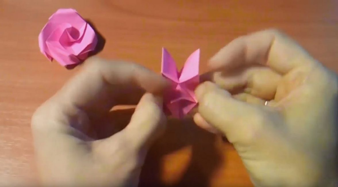 Expandera botten av rosen